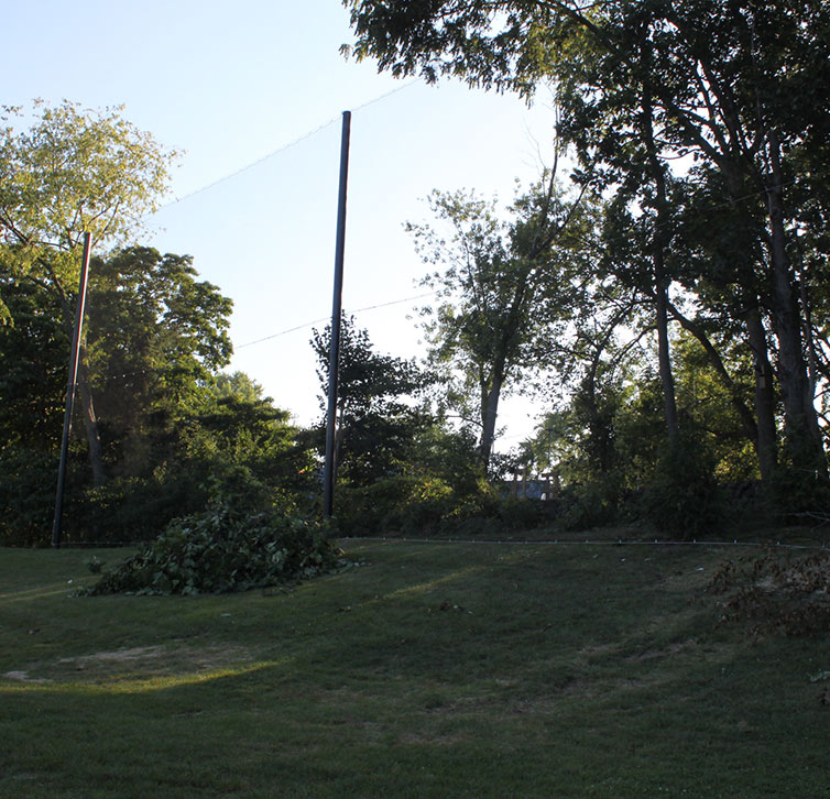 A grassy area with scattered piles of trimmed branches and leaves, bordered by tall trees. Two tall poles with netting are visible against a clear sky in the background.